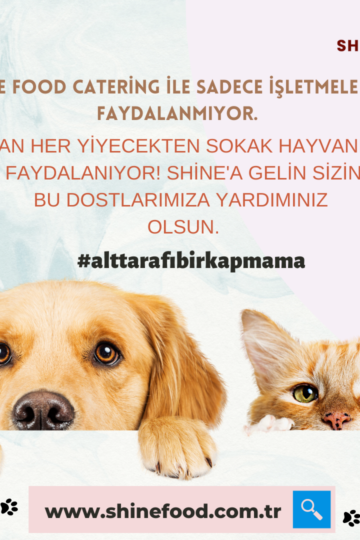 sokak hayvanlarına yardım catering Shine food12