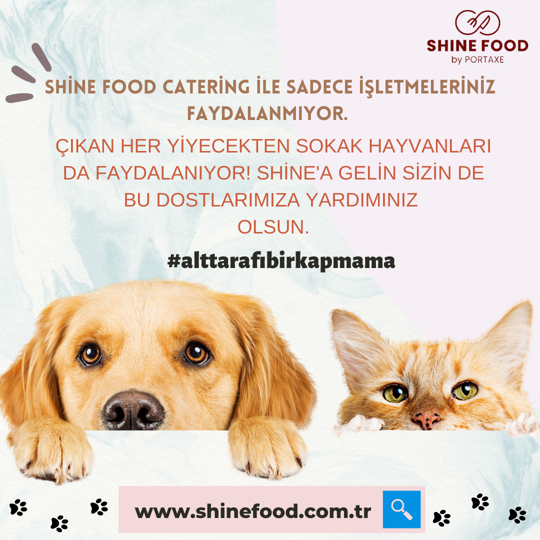 Sokak hayvanlarına yardım Hizmeti 6 sokak hayvanlarına yardım catering Shine food12