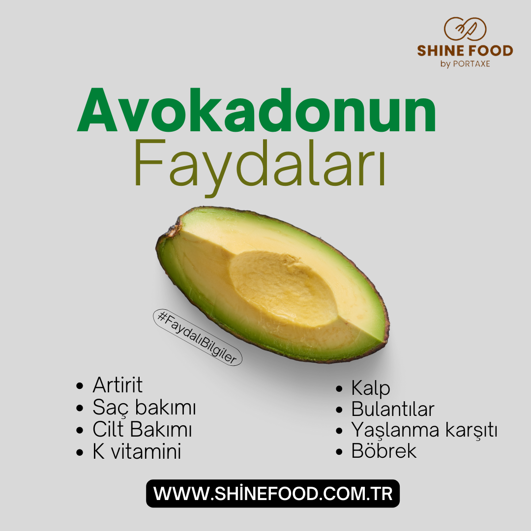 Avokadonun Faydaları 1 avokadonun faydalari